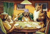 poker__72_53_14